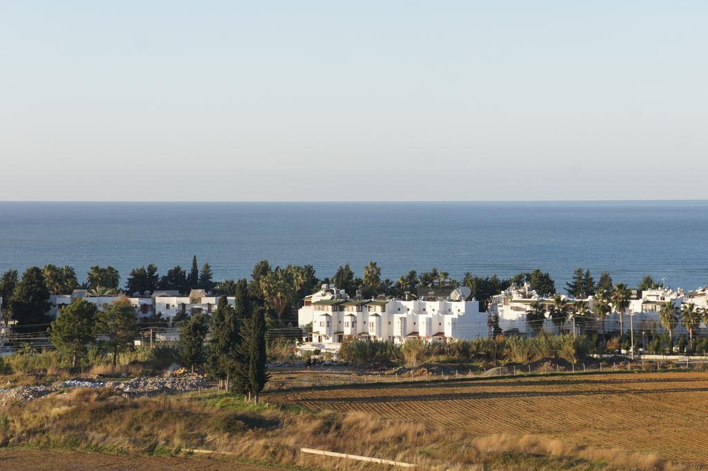 Sea View Studio In Orion Garden Apartment Avsallar Room photo